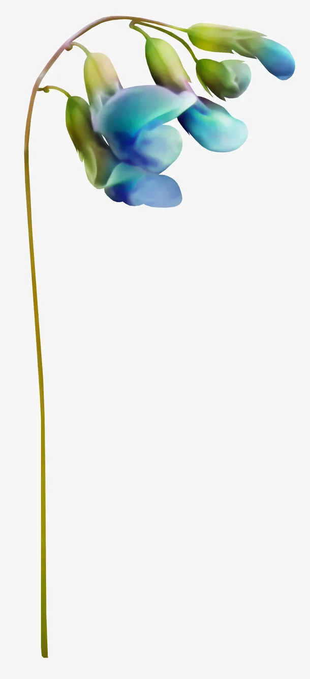 花卉免抠