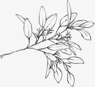 水墨花朵元素69免抠