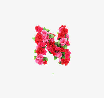 n英文字母花朵元素免抠