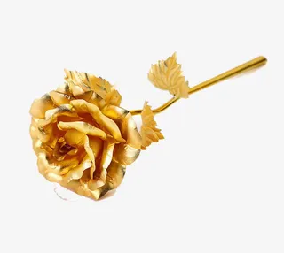 金箔玫瑰花金箔康乃馨免抠