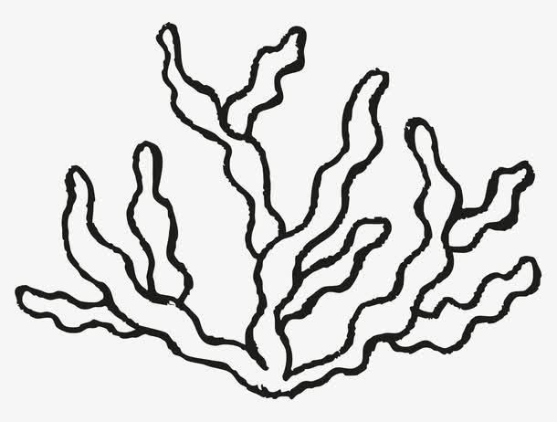 简笔海草免抠