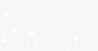 抽象白色发光的花免抠