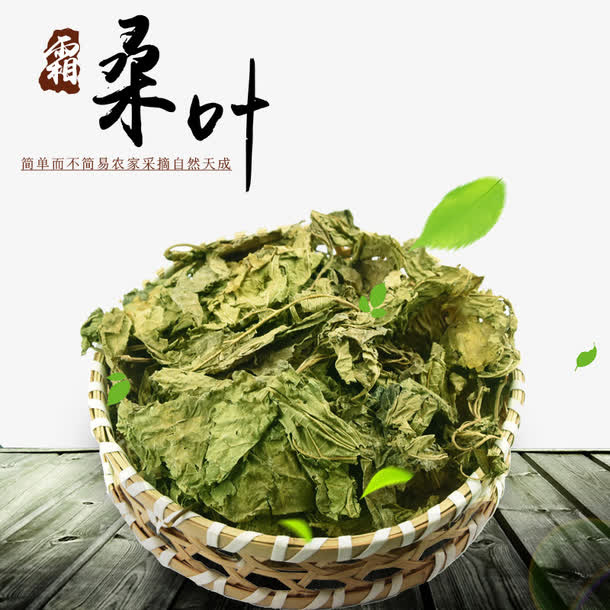 天然桑叶免抠
