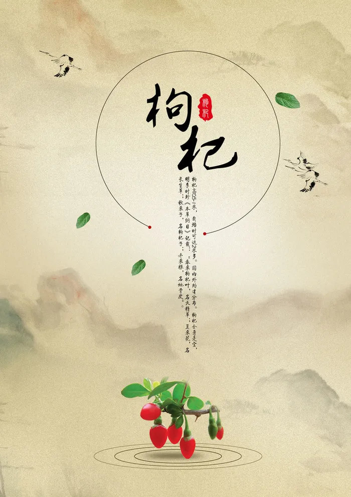 中药枸杞产品介绍背景高清