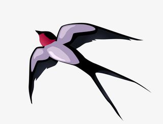 卡通可爱小动物装饰动物头像燕子免抠