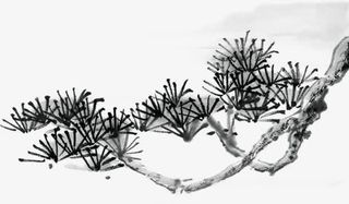 黑色水墨树枝装饰免抠
