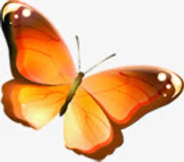 蝴蝶主题减肥宣传单免抠