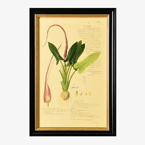 美式意象挂画免抠