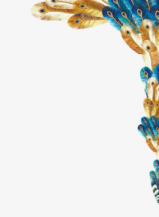 孔雀羽毛边框纹理美术图库网免抠