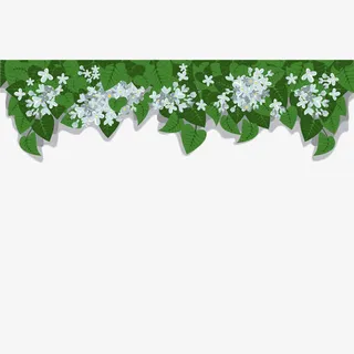 手绘白丁香装饰条设计免抠免抠