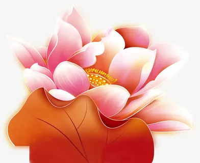 荷花带荷叶免抠