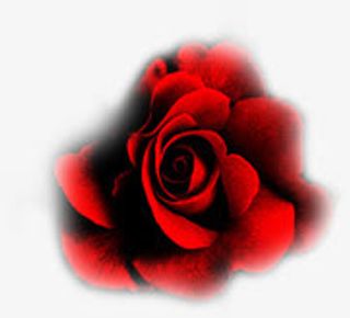 高档婚礼结婚请柬免抠