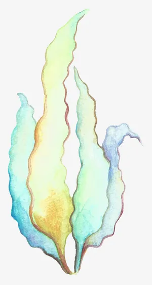 手绘海草矢量图下载免抠