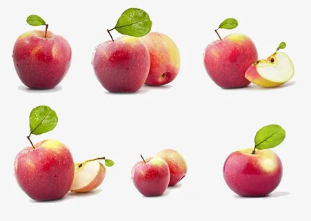 苹果叶图片免抠 苹果叶图片免抠