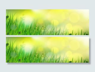 春意昂扬的小草背景高清