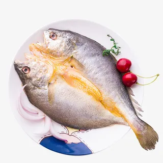 深海黄花鱼大黄鱼免抠