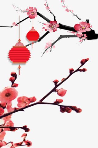 梅花树灯笼免抠