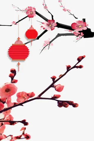 梅花树灯笼免抠
