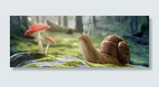 动漫高清蜗牛唯美背景banner高清