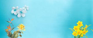 淘宝天猫电商夏季小清新上新海报背景高清