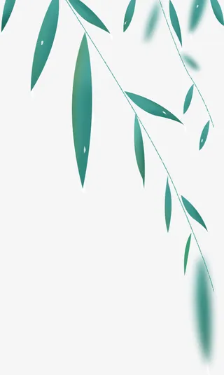 清明节柳树装饰柳叶免抠
