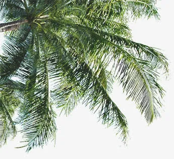夏季旅游促销宣传免抠