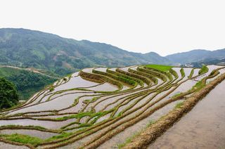 云南梯田免抠