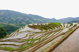 云南梯田免抠