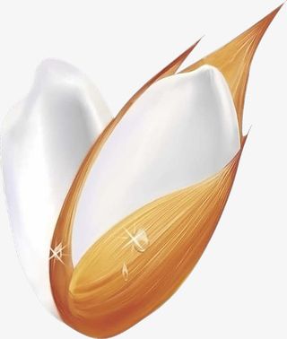 产品实物高清大米图免抠