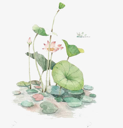 中国风手绘荷塘免抠