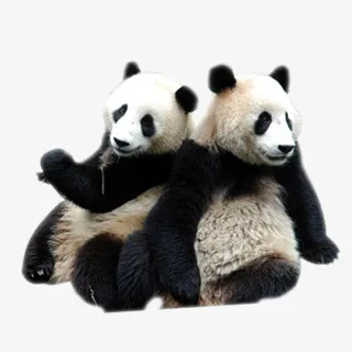熊猫免抠