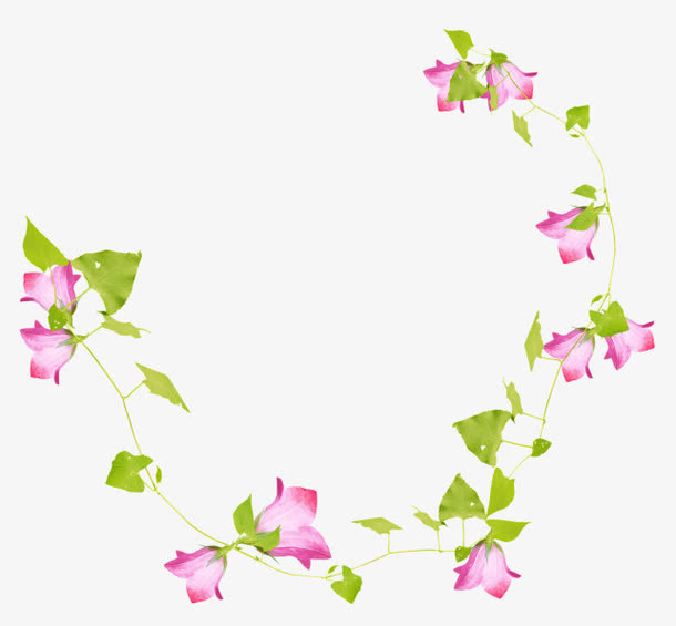 花叶免抠