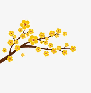 黄色的梅花免抠