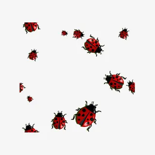 卡通精美七星瓢虫免抠