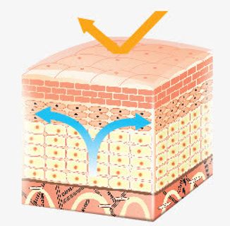 粉色手绘卡通肌肤图标免抠