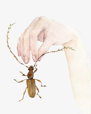 插画纤细的手免抠