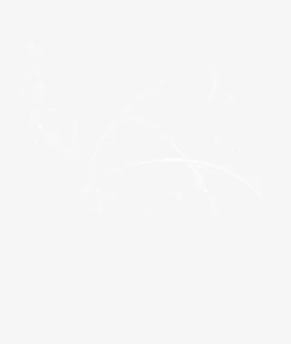 白色曲线效果元素免抠