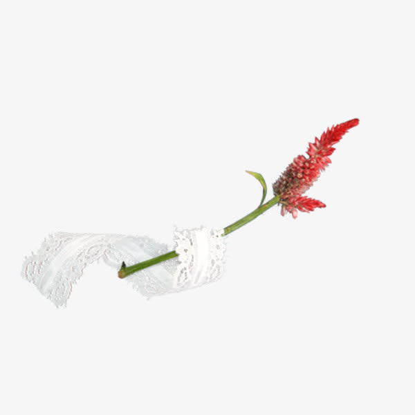 唯美鲜花免抠