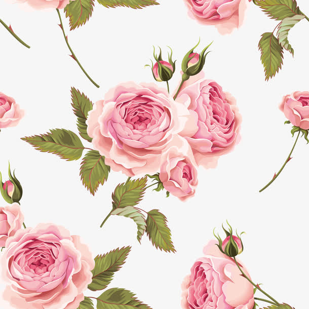 花朵背景PNG下载