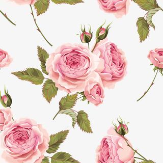 花朵背景PNG下载