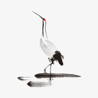 手绘丹顶鹤免抠