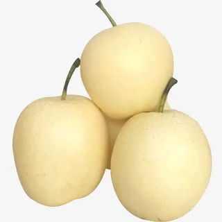 美味皇冠梨免抠