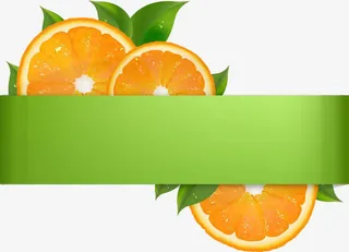 脐橙插画素材免抠