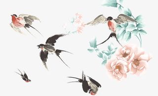 燕子牡丹免抠
