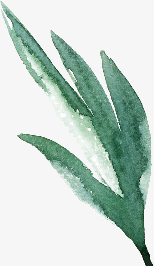 绿色的水彩叶子免抠