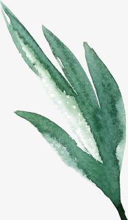 绿色的水彩叶子免抠