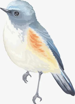 动物小鸟PNG下载免抠