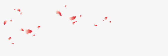 红色漂浮花瓣创意花枝免抠