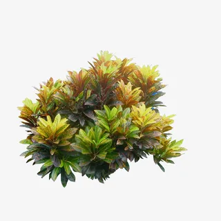 植物景观丛生免抠