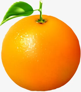 一个橙子免抠 一个橙子免抠